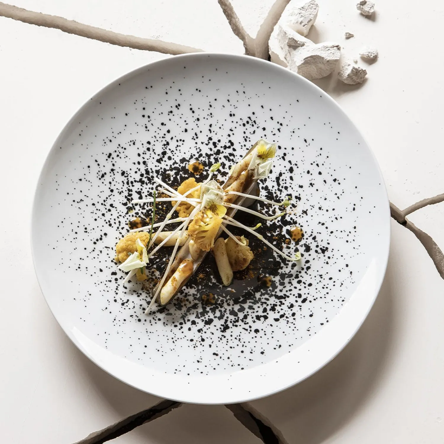 Degrenne Arty Creation White