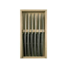 Degrenne Mirage Les Essences