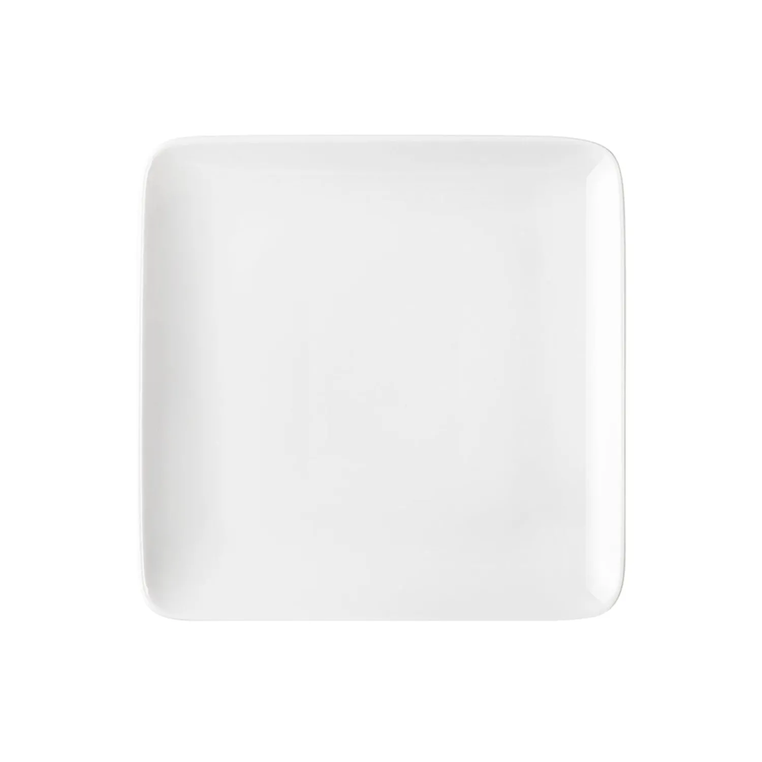 Degrenne Modulo White