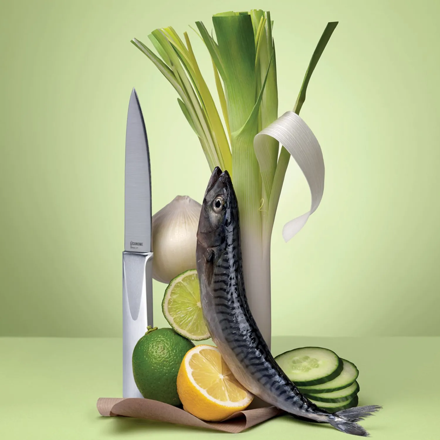 Degrenne The Economy Starck